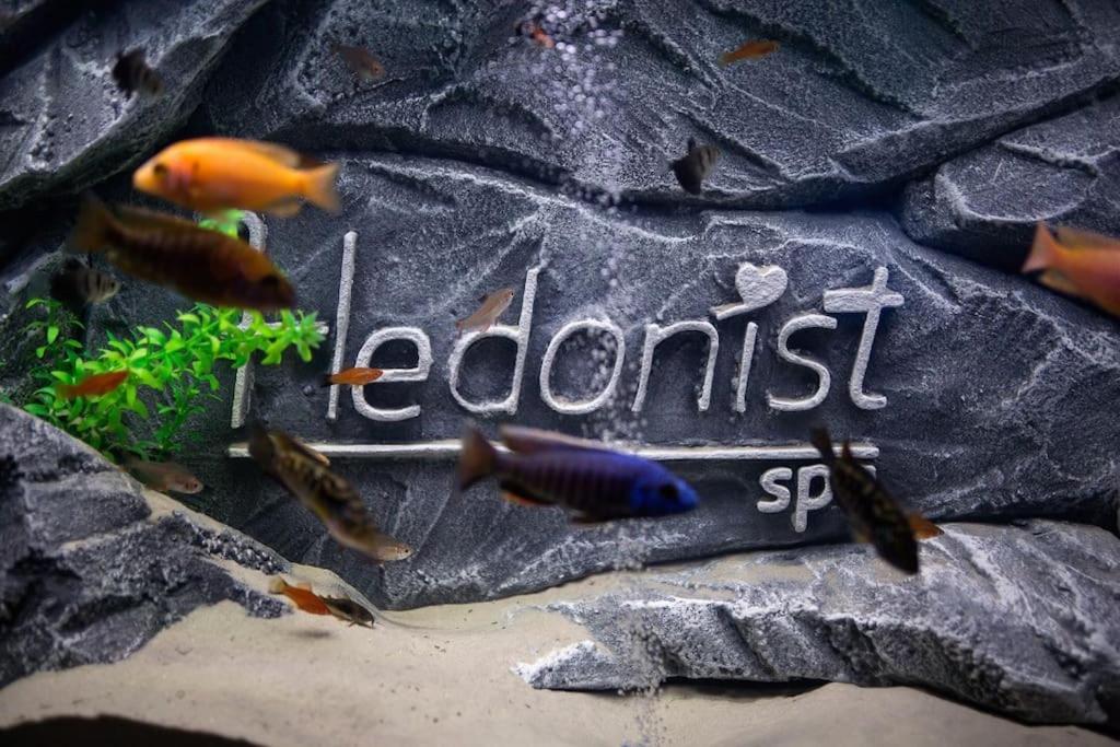 Hedonist-Belgrade Central Nest Екстер'єр фото